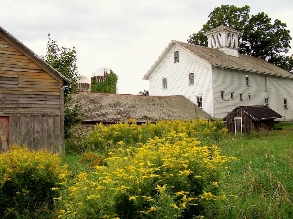Saratoga Farmstead B&B 사라토가 스프링스 외부 사진