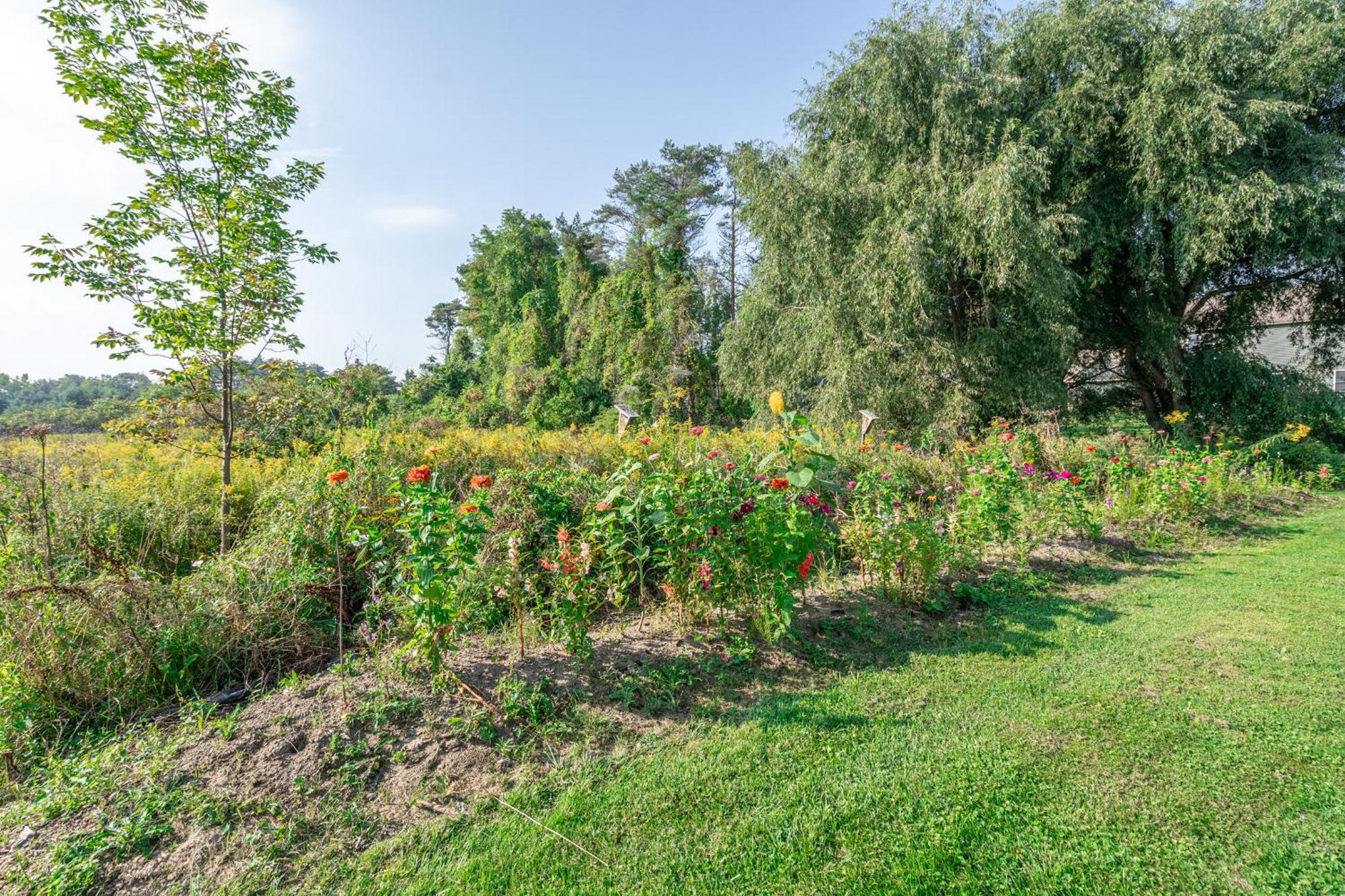 Saratoga Farmstead B&B 사라토가 스프링스 외부 사진