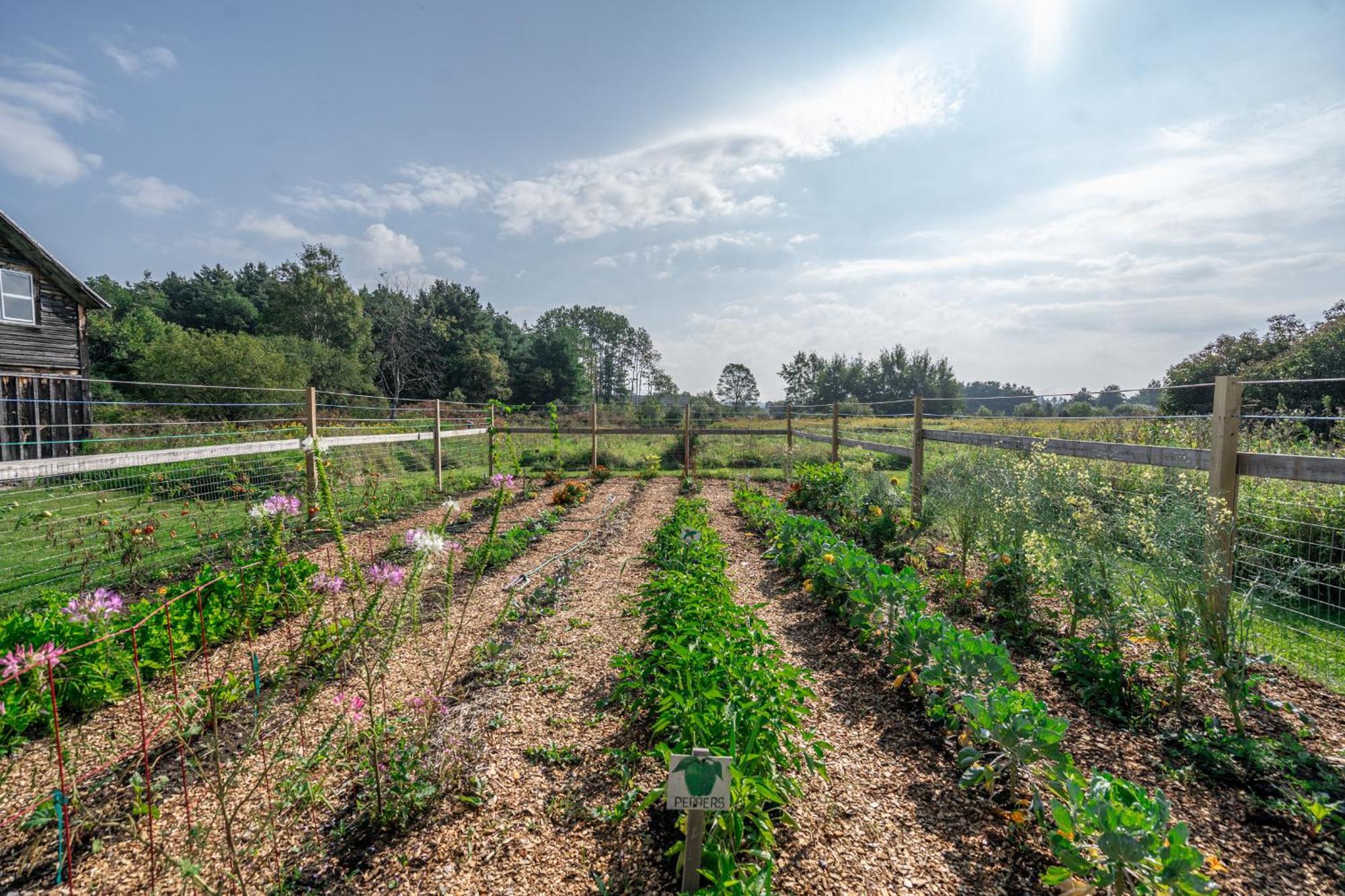 Saratoga Farmstead B&B 사라토가 스프링스 외부 사진
